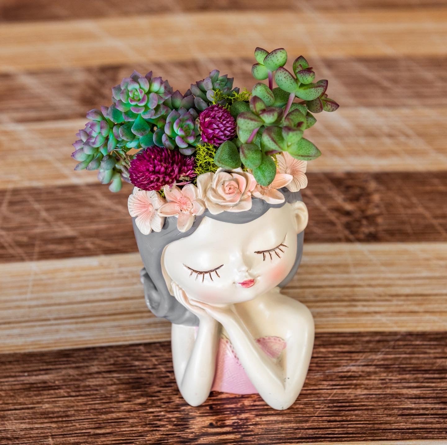 Ready for Delivery Succulent Arrangements