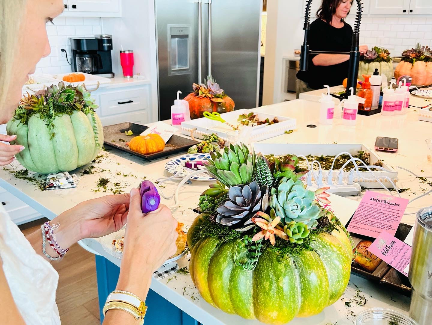 Succulent Pumpkin Workshop | Rooted Treasures Succulents