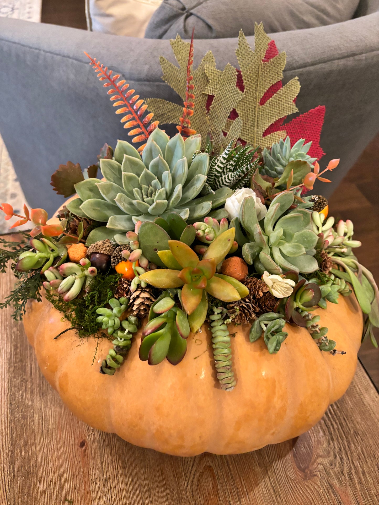 Large Succulent Pumpkin Centerpiece