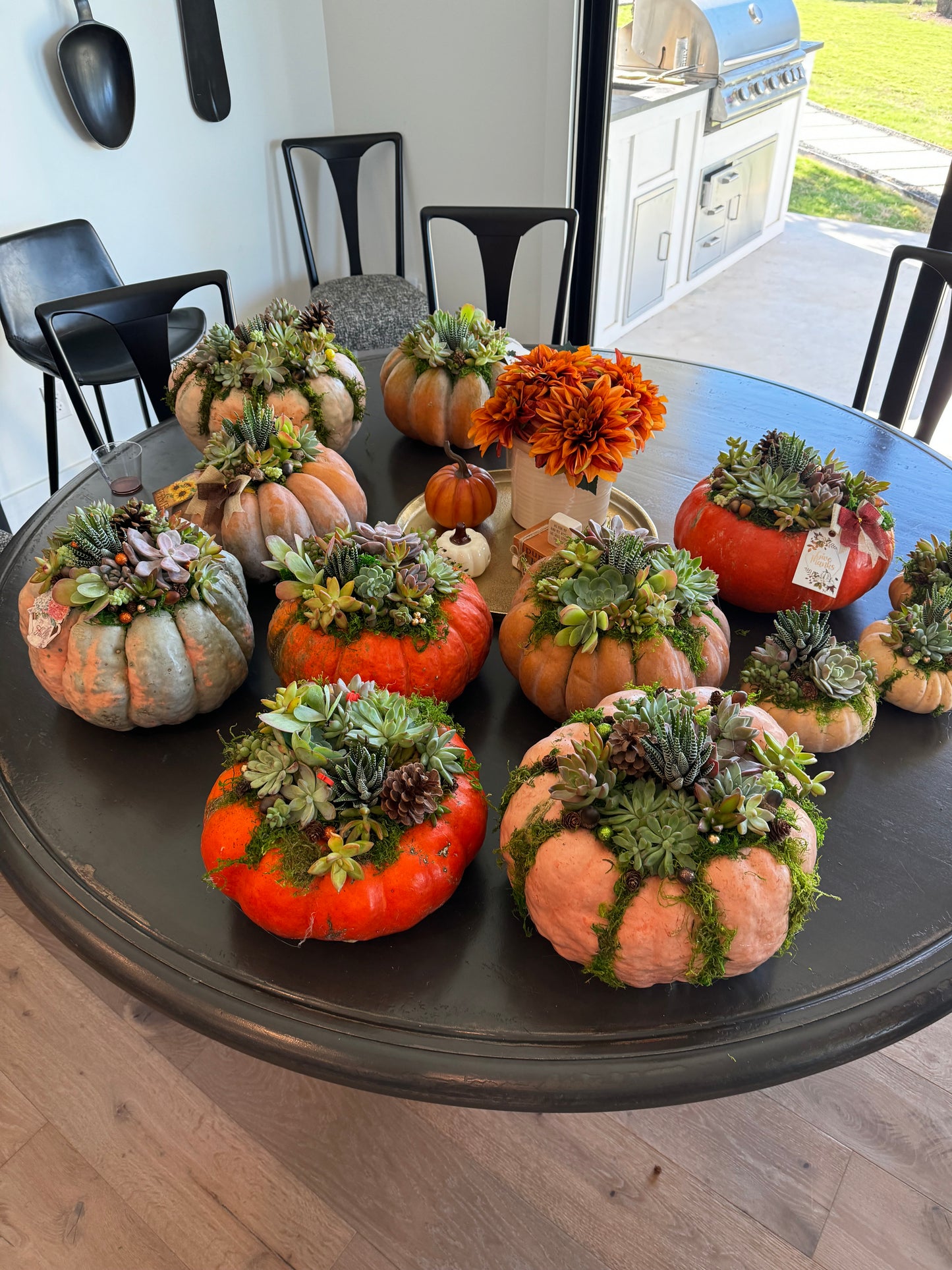 Large Succulent Pumpkin Centerpiece
