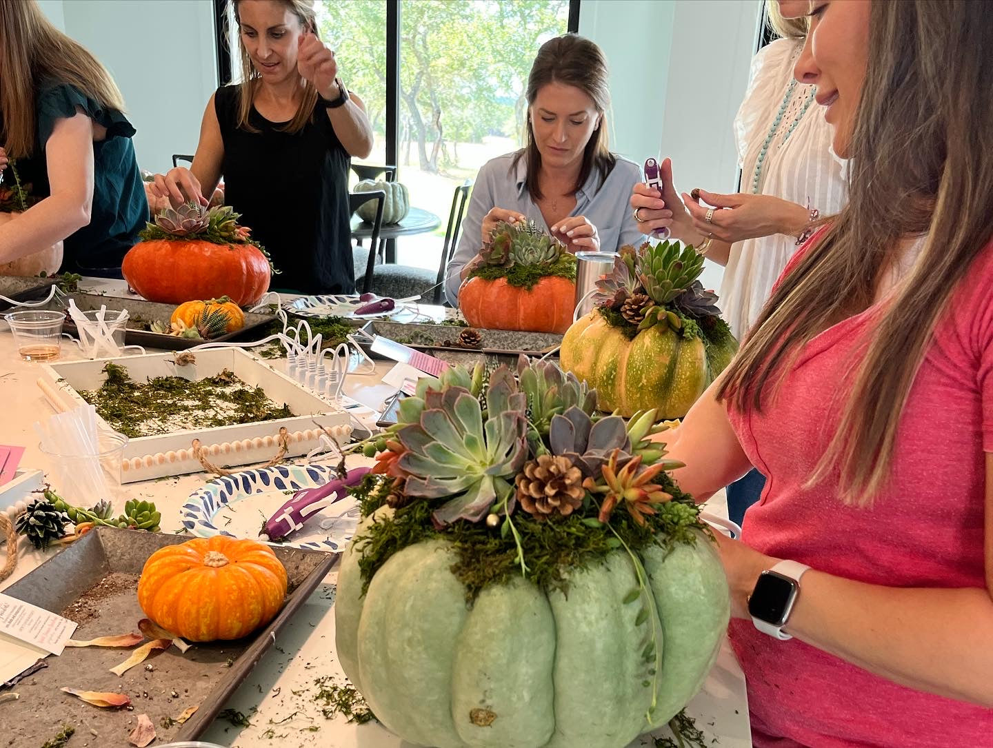 Succulent Pumpkin Workshop | Rooted Treasures Succulents