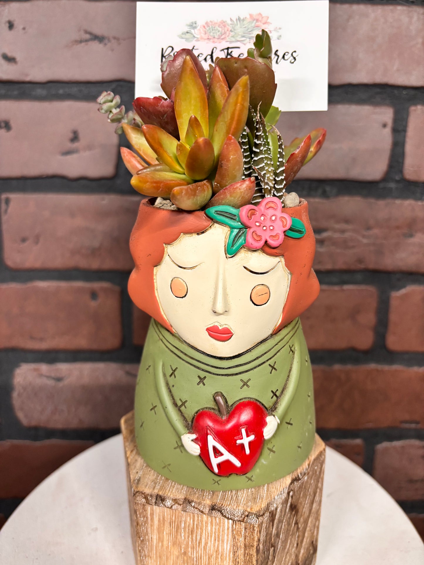 Succulent teacher gift