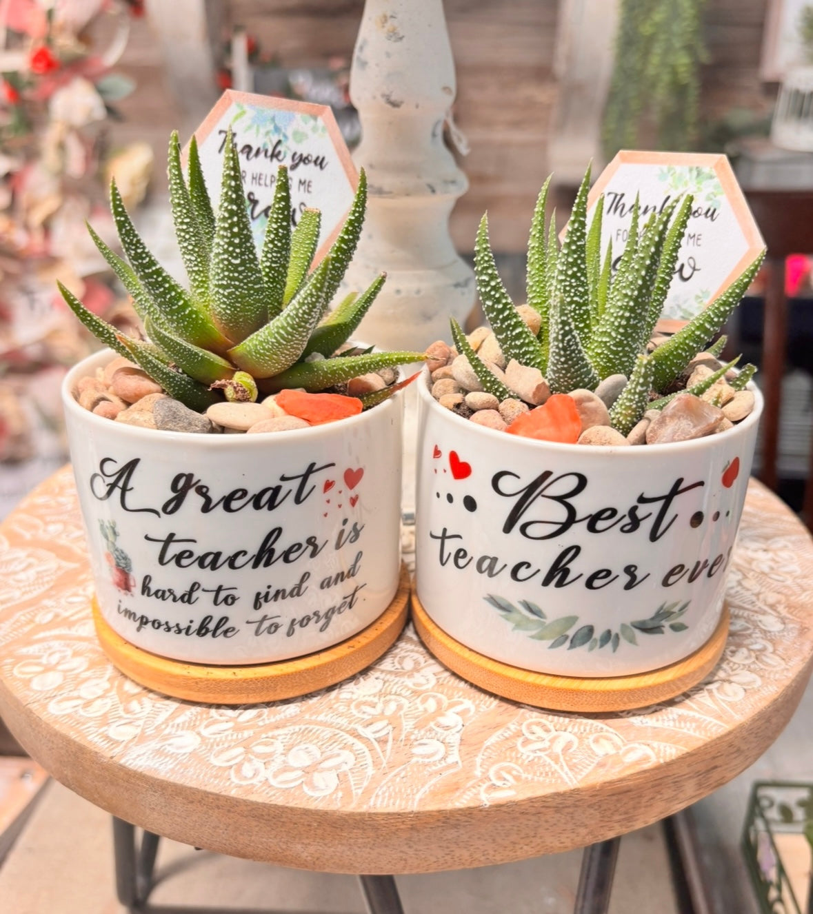 Teacher succulent gift