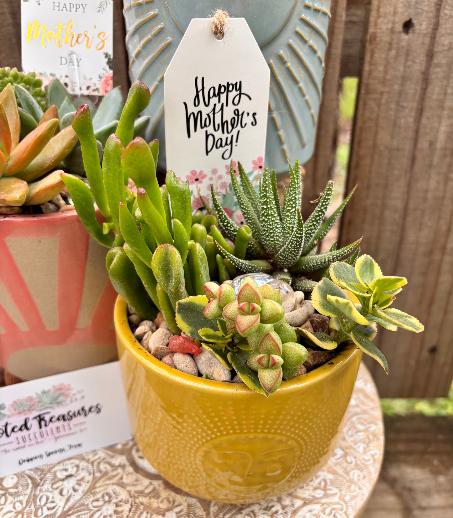 Vista Brewing Mother's Day DIY Succulent Bar