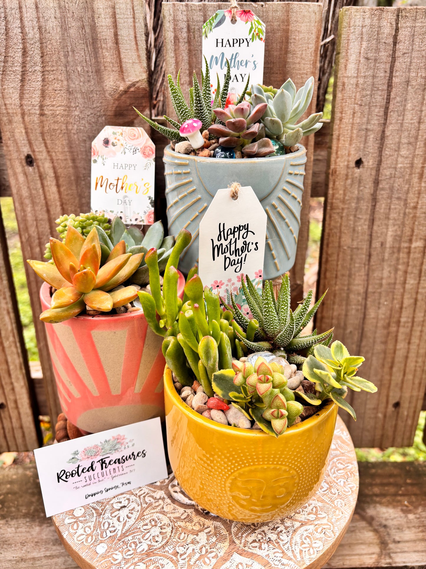 Vista Brewing Mother's Day DIY Succulent Bar