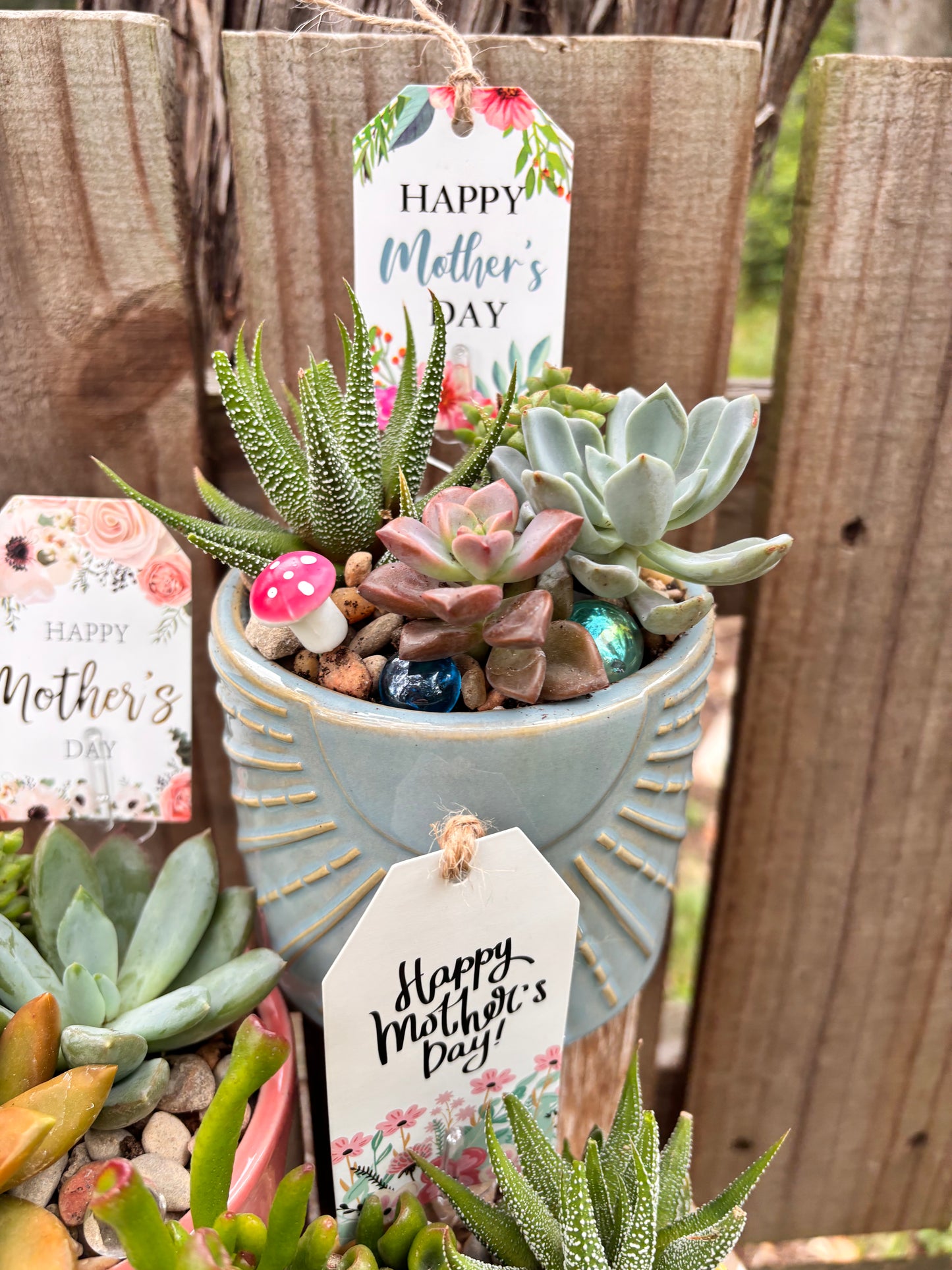 Vista Brewing Mother's Day DIY Succulent Bar