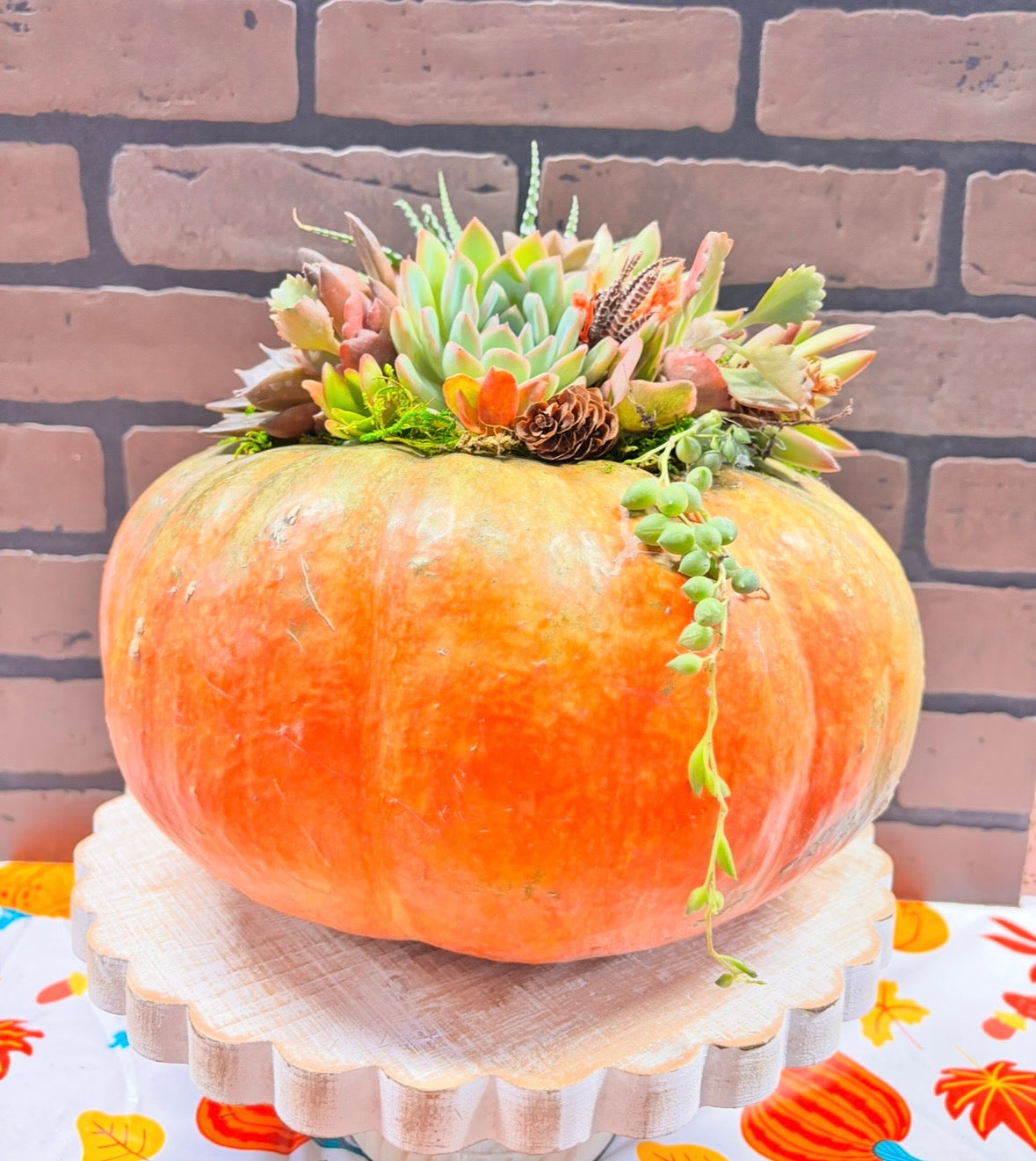 Large Succulent Pumpkin Centerpiece