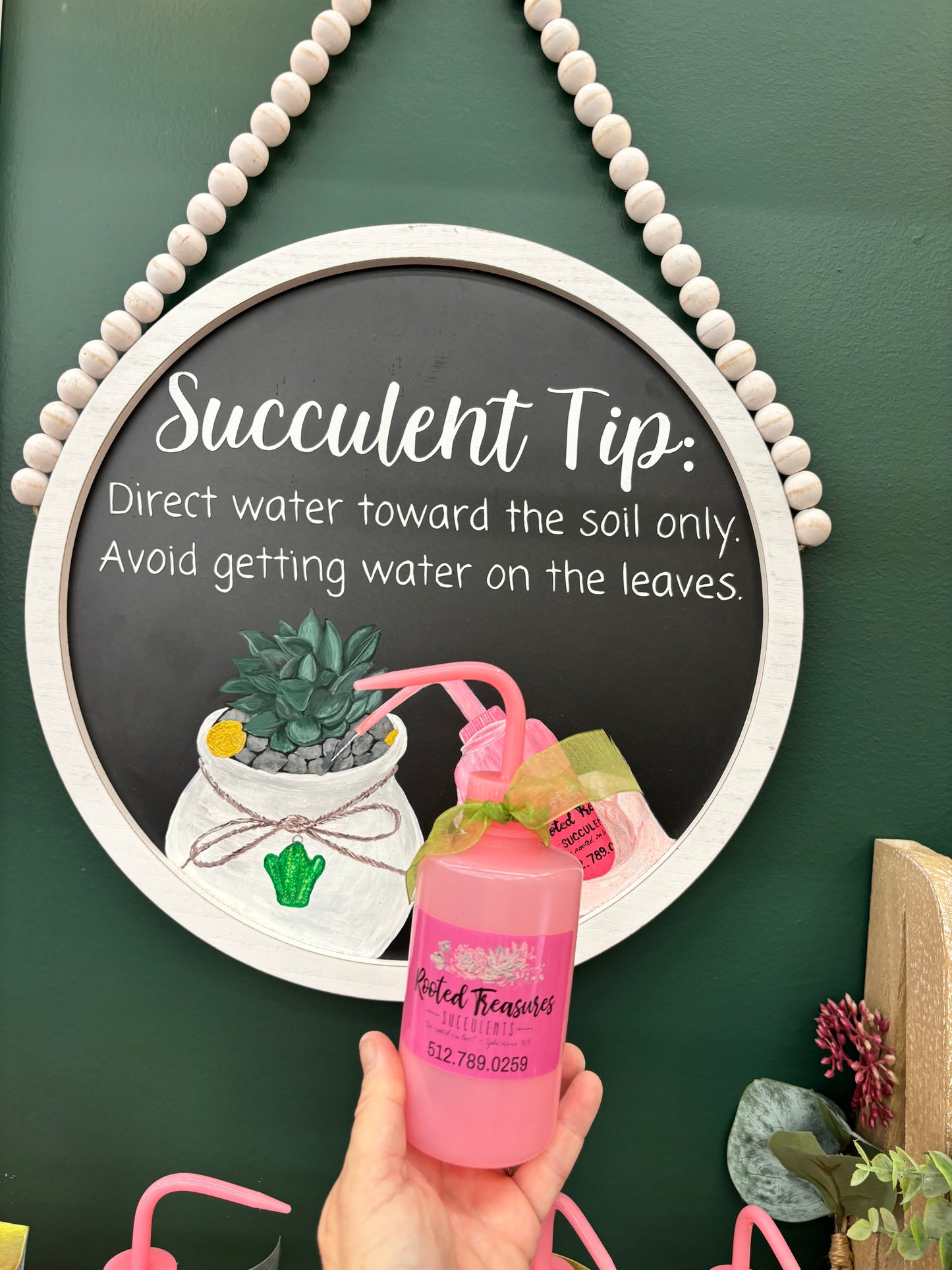 Succulent Water Bottle | Rooted Treasures Succulents