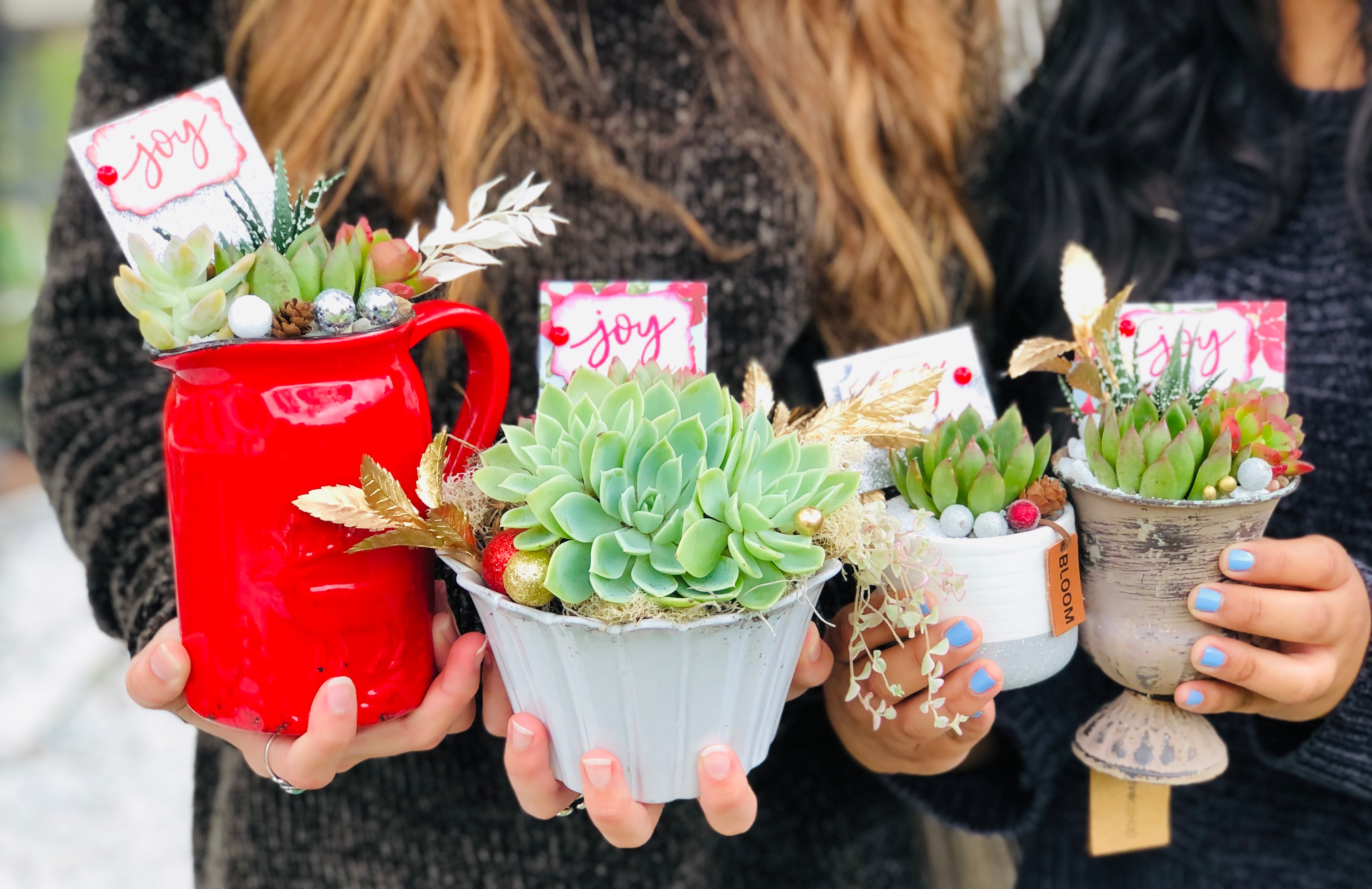 Christmas Succulent Arrangements | Rooted Treasures Succulents