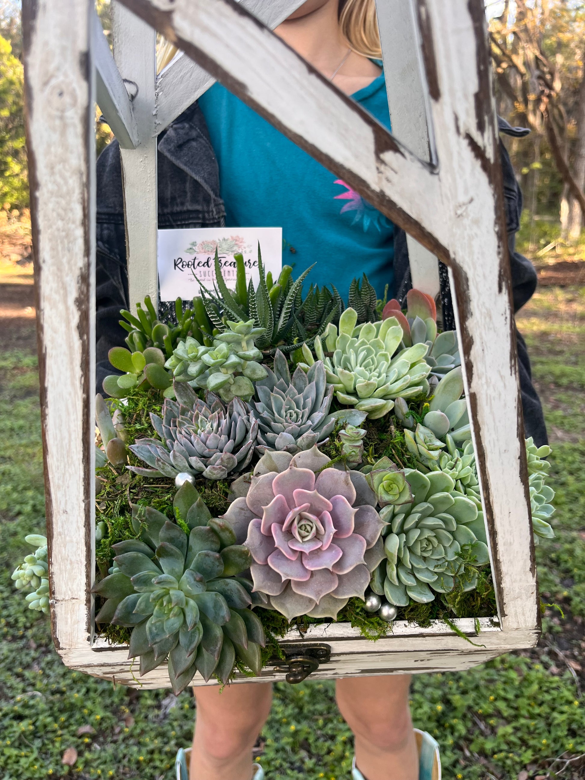 "The Eleanor" Succulent Arrangement