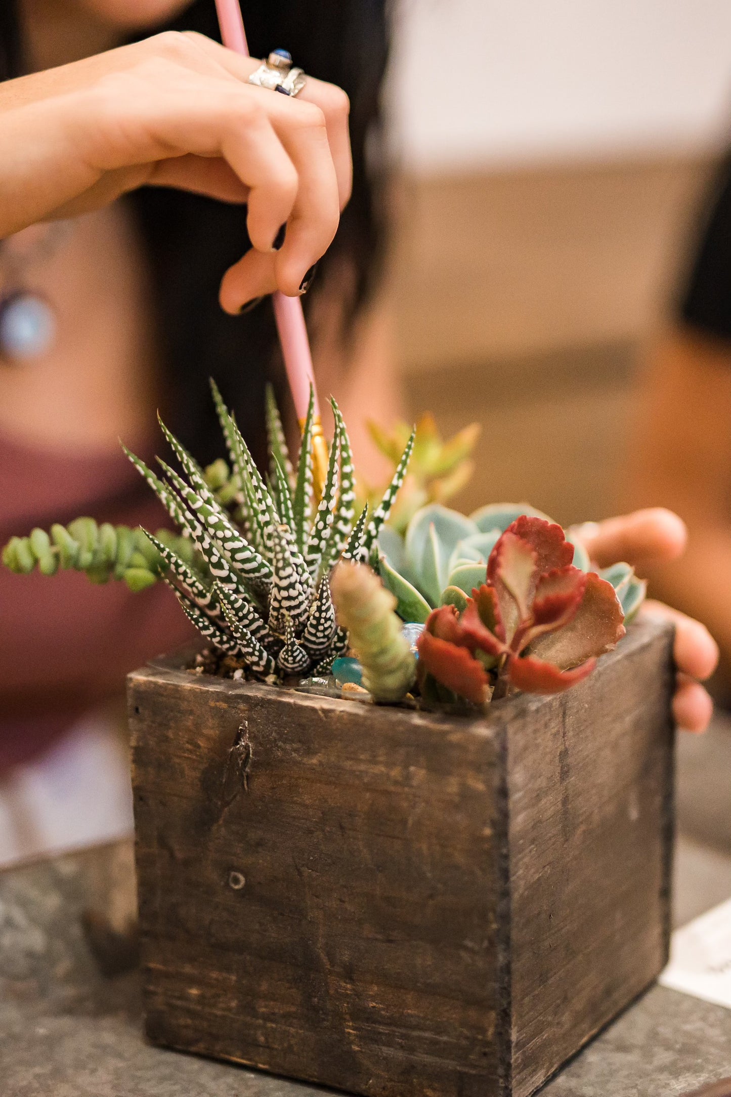 Vista Brewing | DIY Christmas Centerpiece Workshop