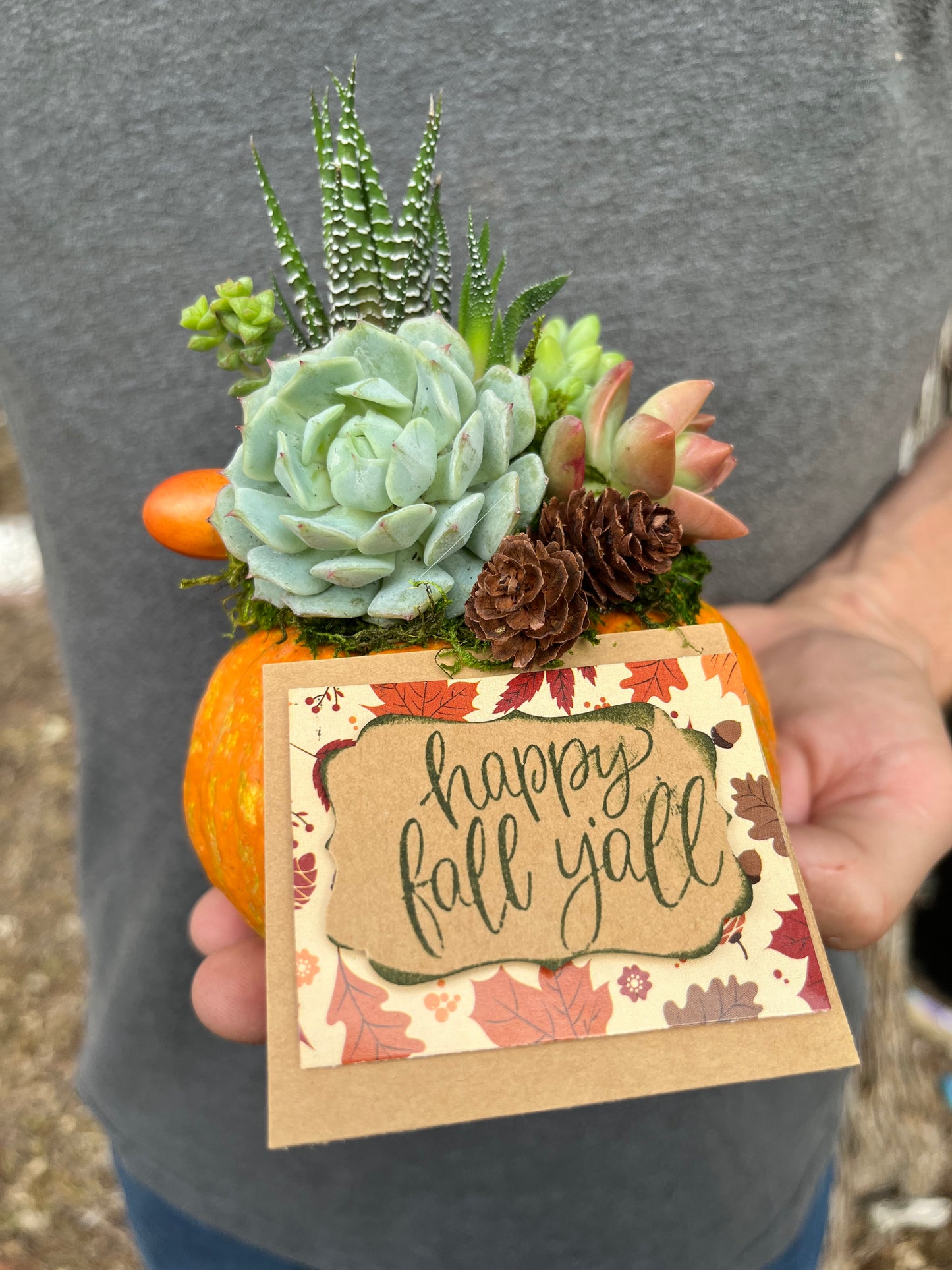 Fall Succulent Pumpkin Sale
