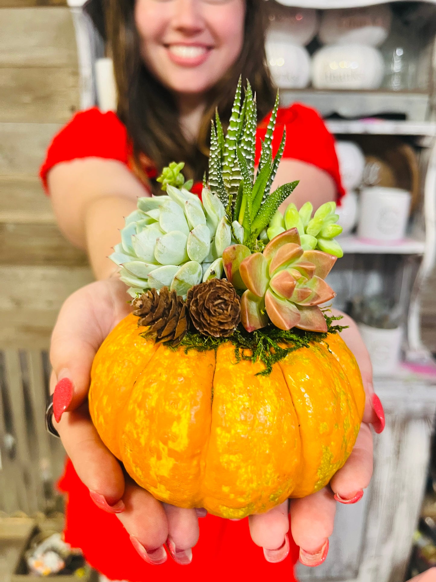 Fall Succulent Pumpkin Sale