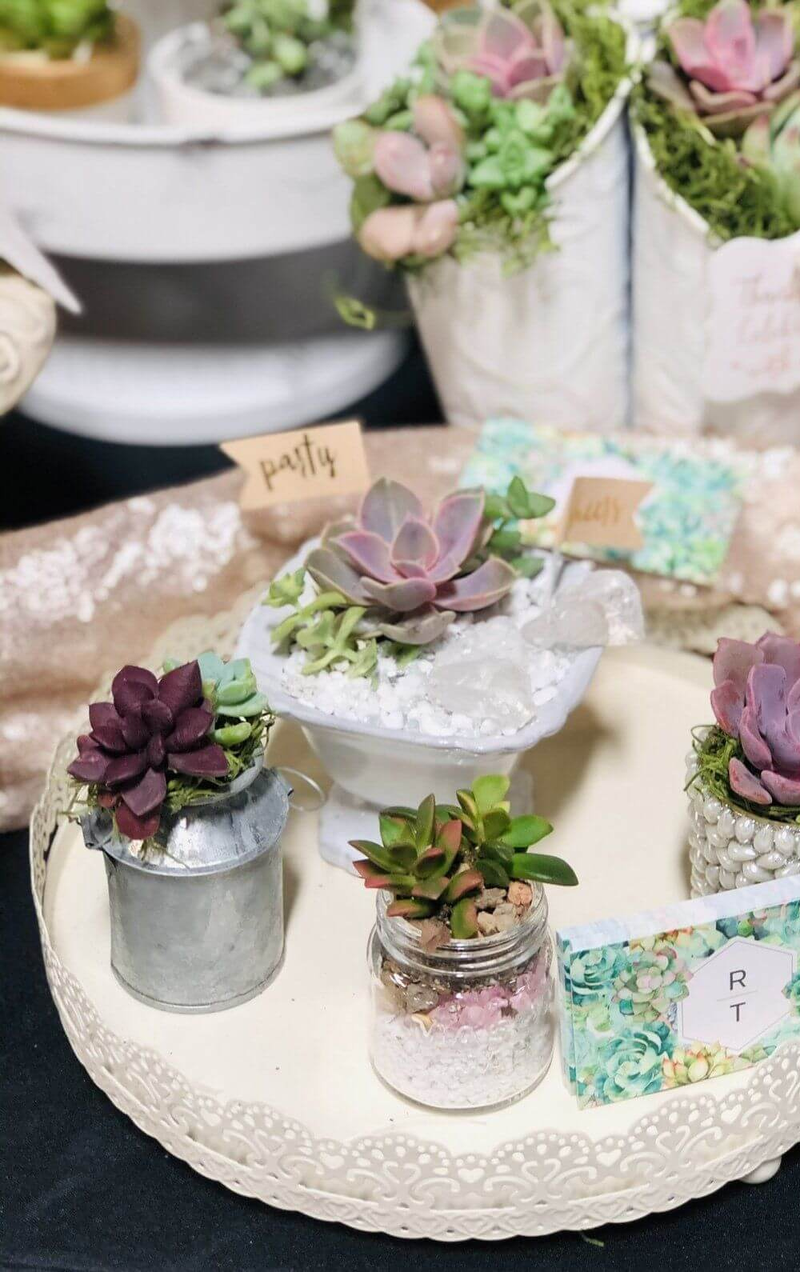 Guest Party Favors for weddings and events with Rooted Treasures Succulents