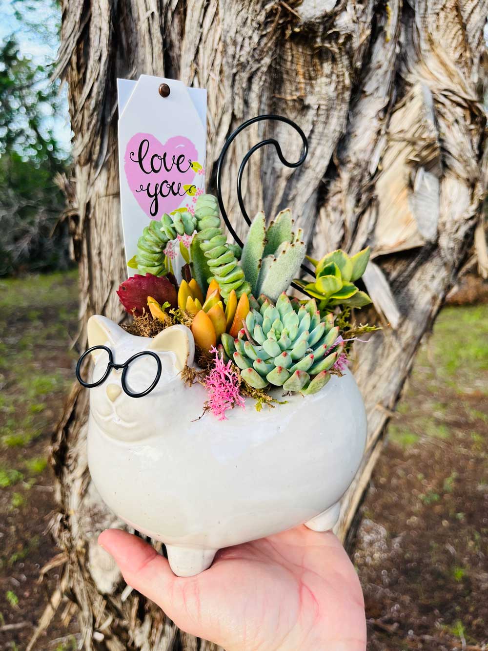 Groovy Cat Arrangement | Rooted Treasures Succulents
