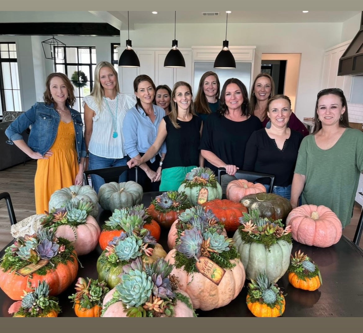 Succulent Pumpkin Workshop | Rooted Treasures Succulents