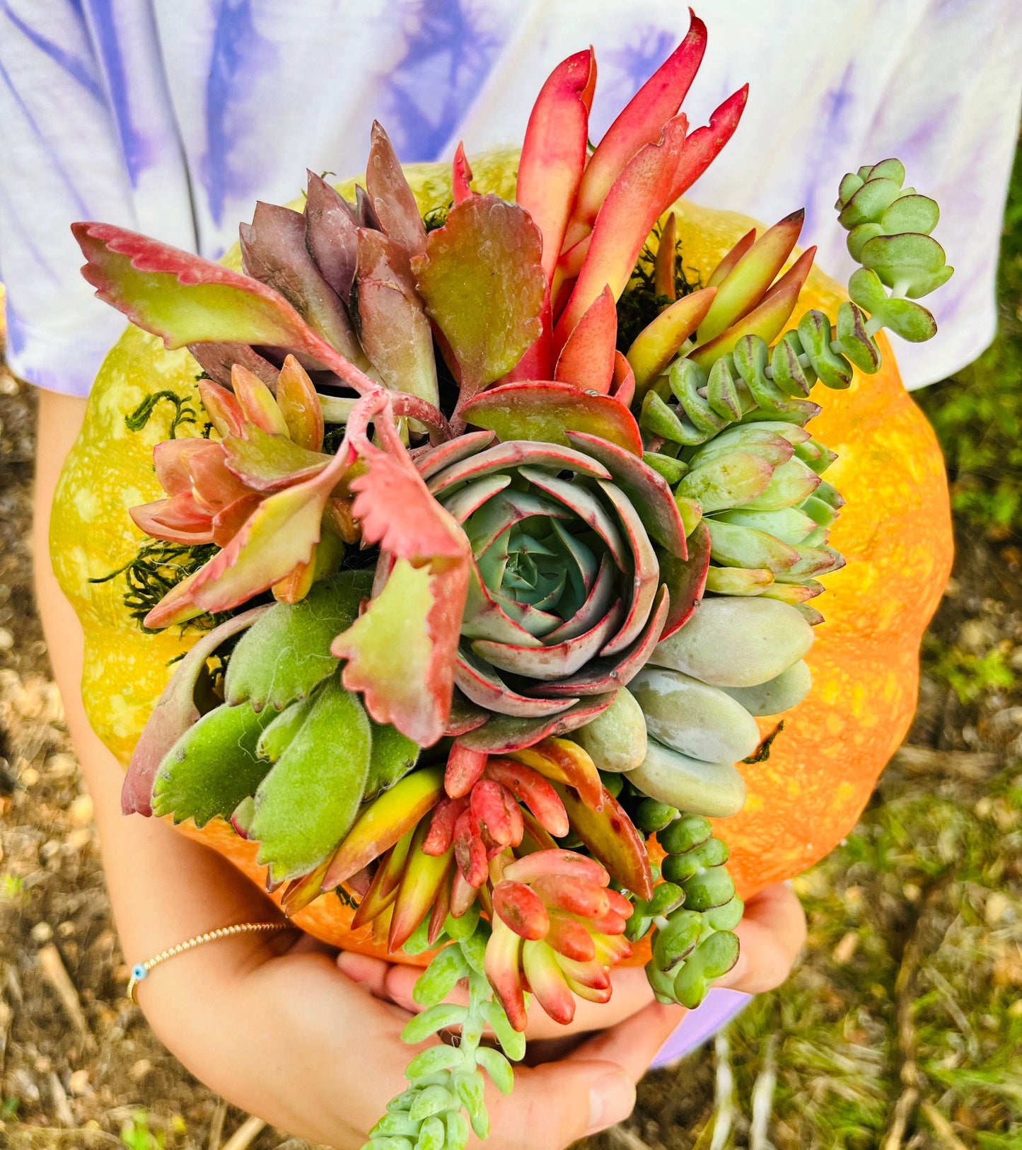 "Medium Pumpkin Centerpiece" Arrangement | Rooted Treasures Succulents
