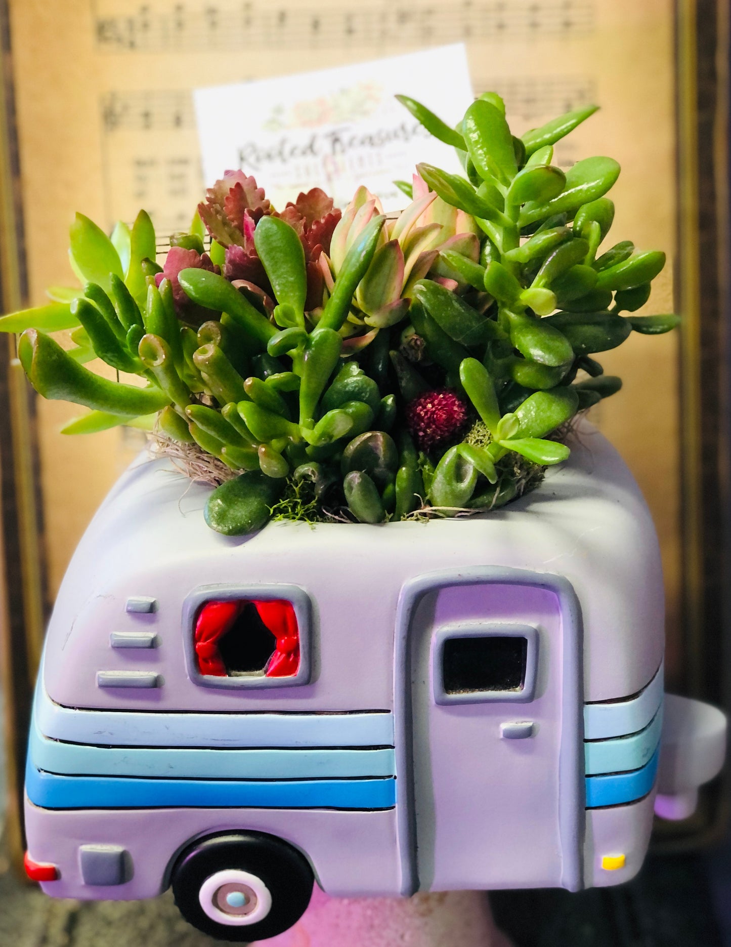 "Jaime's Adventures" Arrangement | Rooted Treasures Succulents