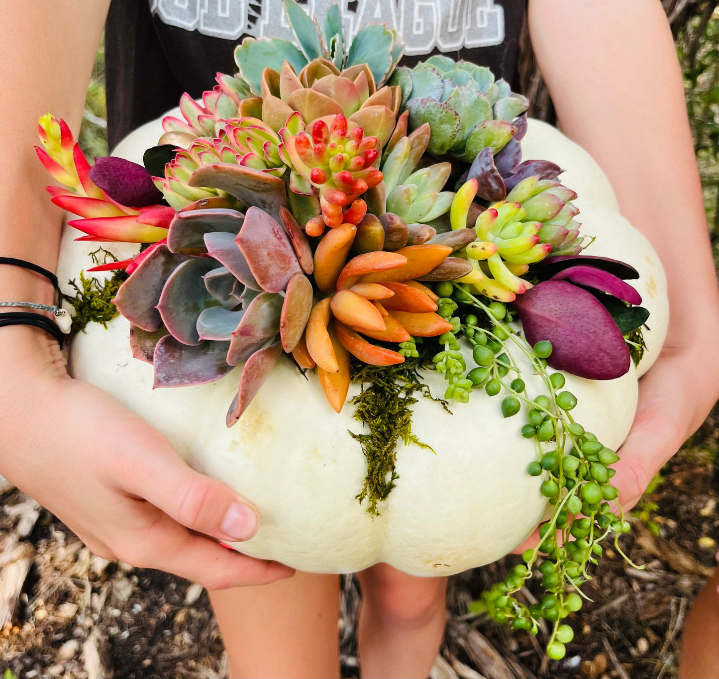 Large Pumpkin Centerpiece | Rooted Treasures Succulents