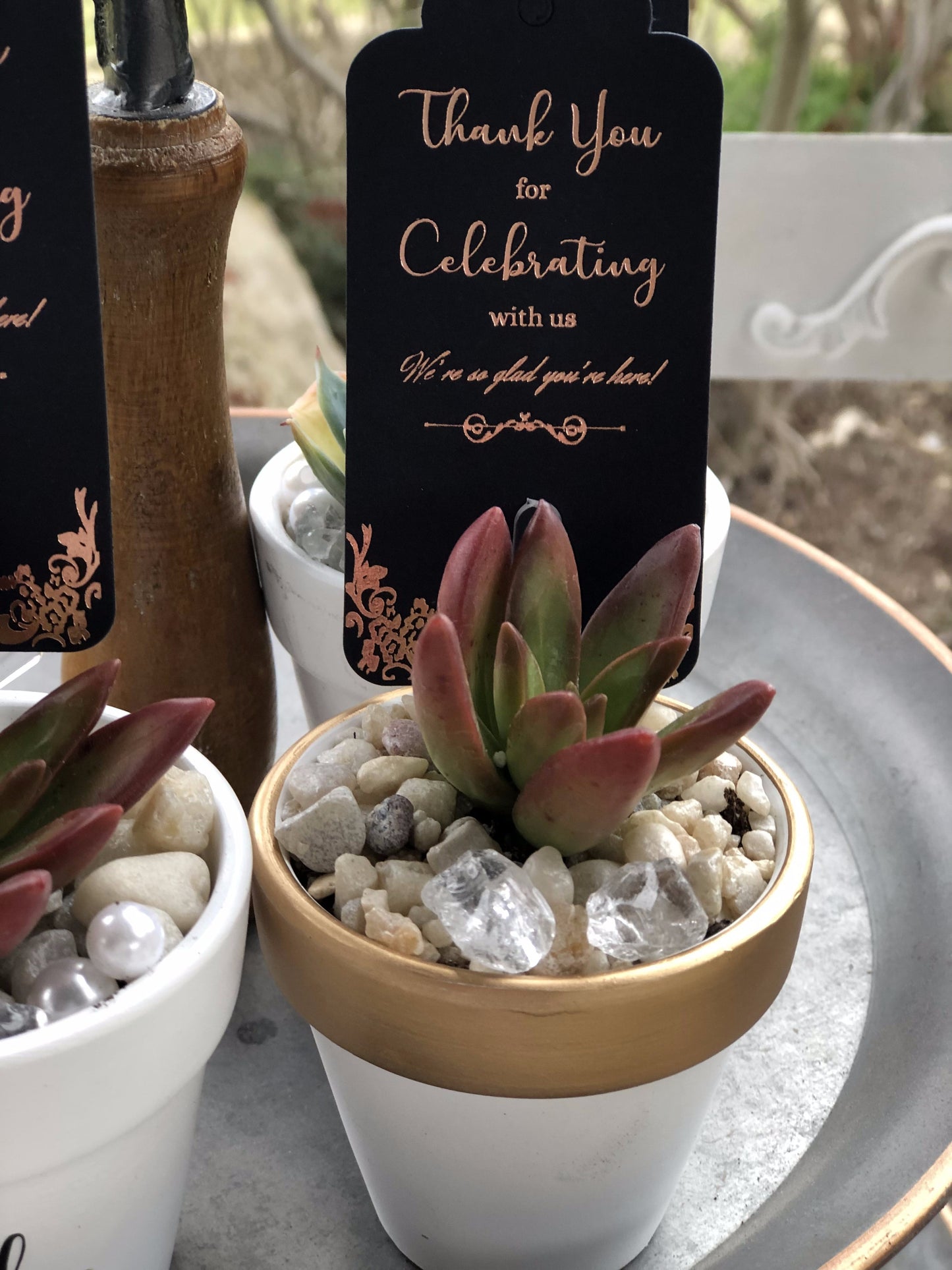 "Thank You for Celebrating With Us" | Rooted Treasures Succulents