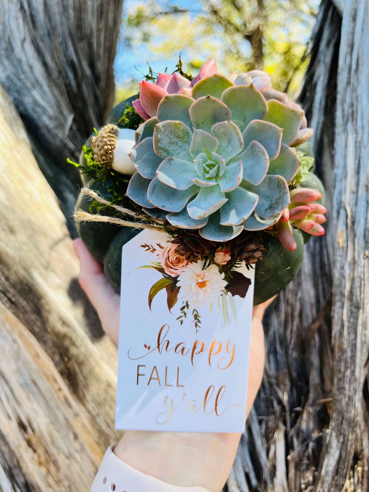"Happy Fall Y'all" Succulent Arrangement | Rooted Treasures Succulents