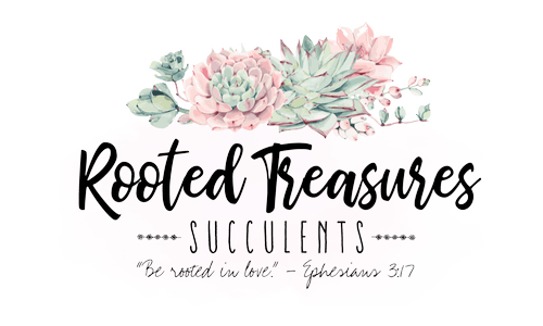 Rooted Treasures Succulents Logo