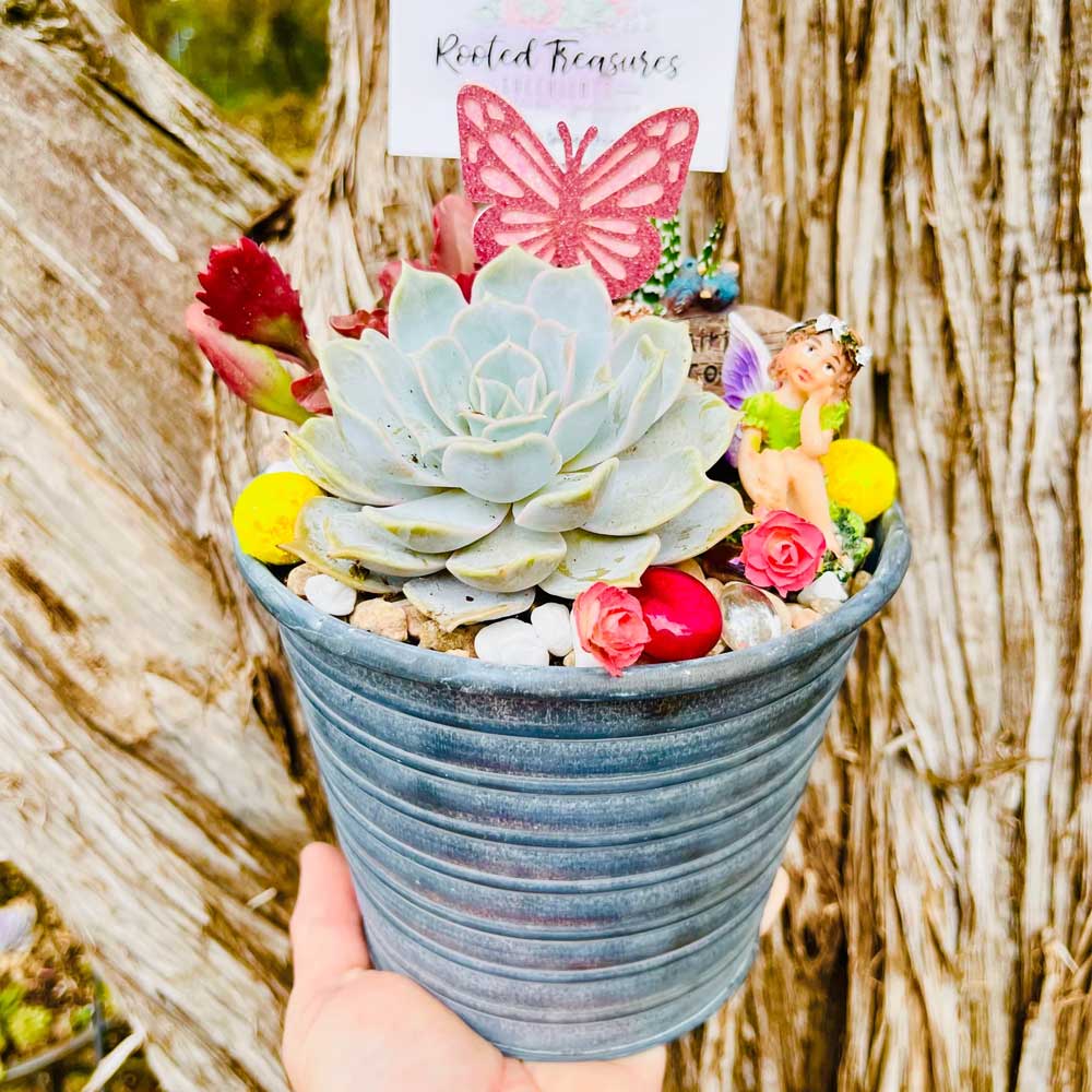 Rooted Treasures Succulents - DIY Succulents Workshop