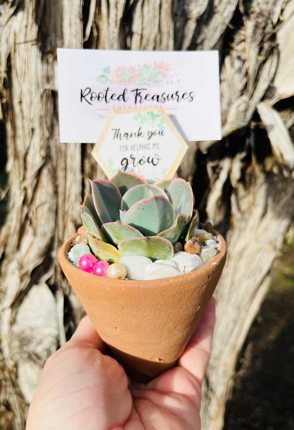 Terra Cotta Pot Party Favor