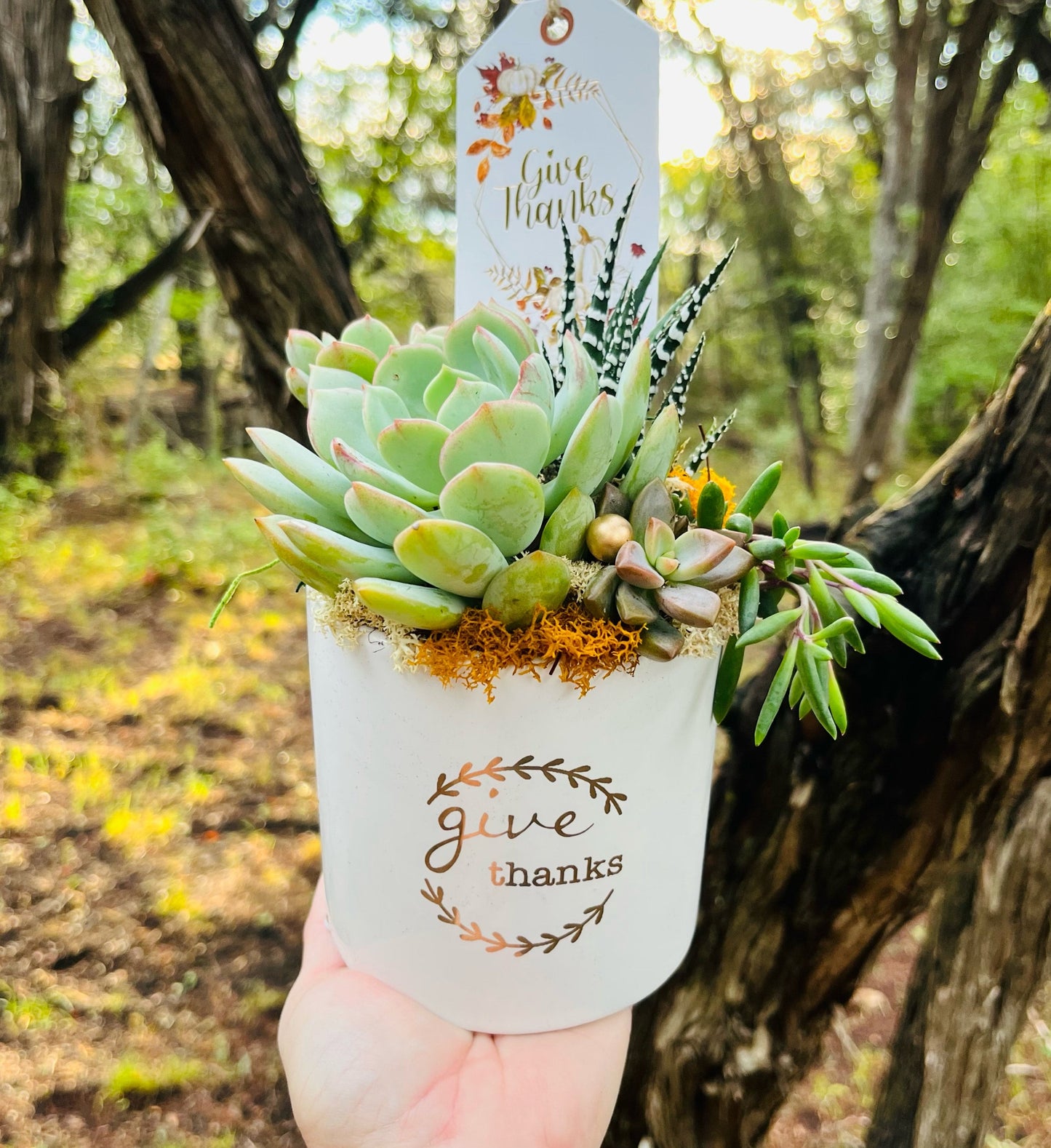 Give Thanks Arrangement | Rooted Treasures Succulents