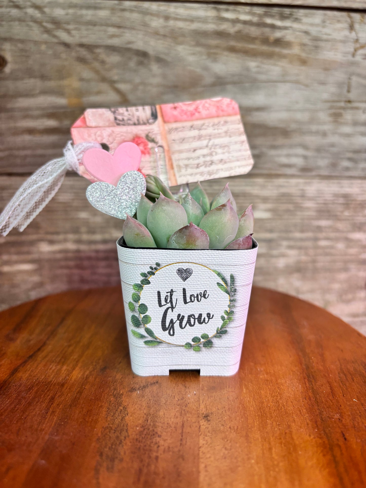 Let Love Grow Succulent