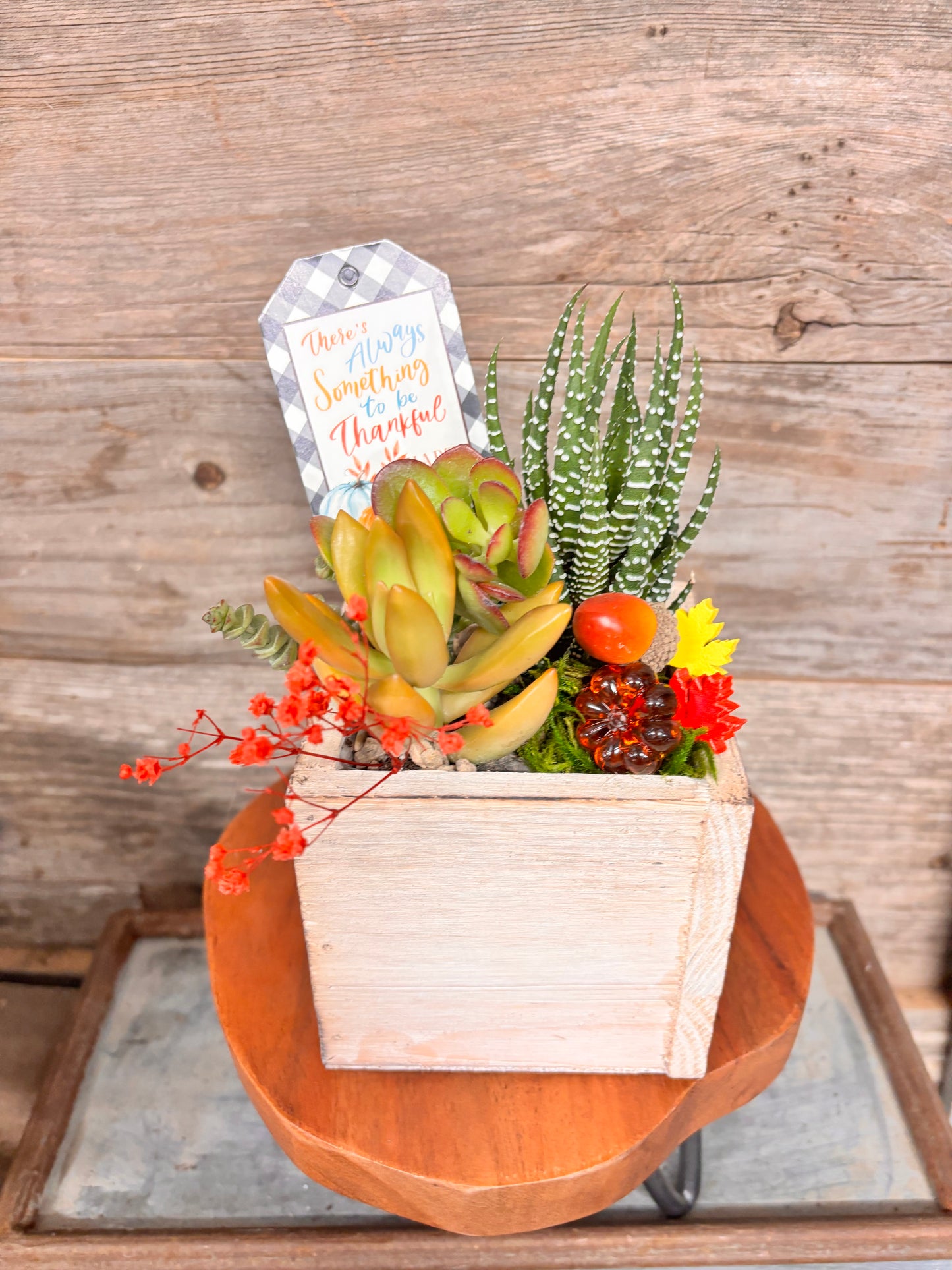 Fall Succulent Garden Box