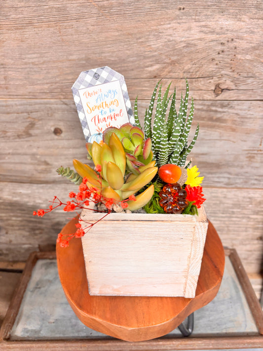 Fall Succulent Garden Box