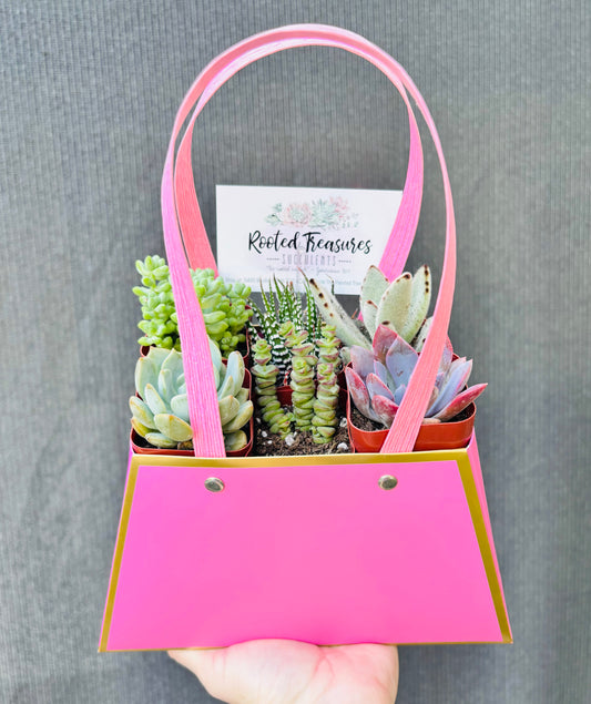 Succulent variety gift bag set of 6