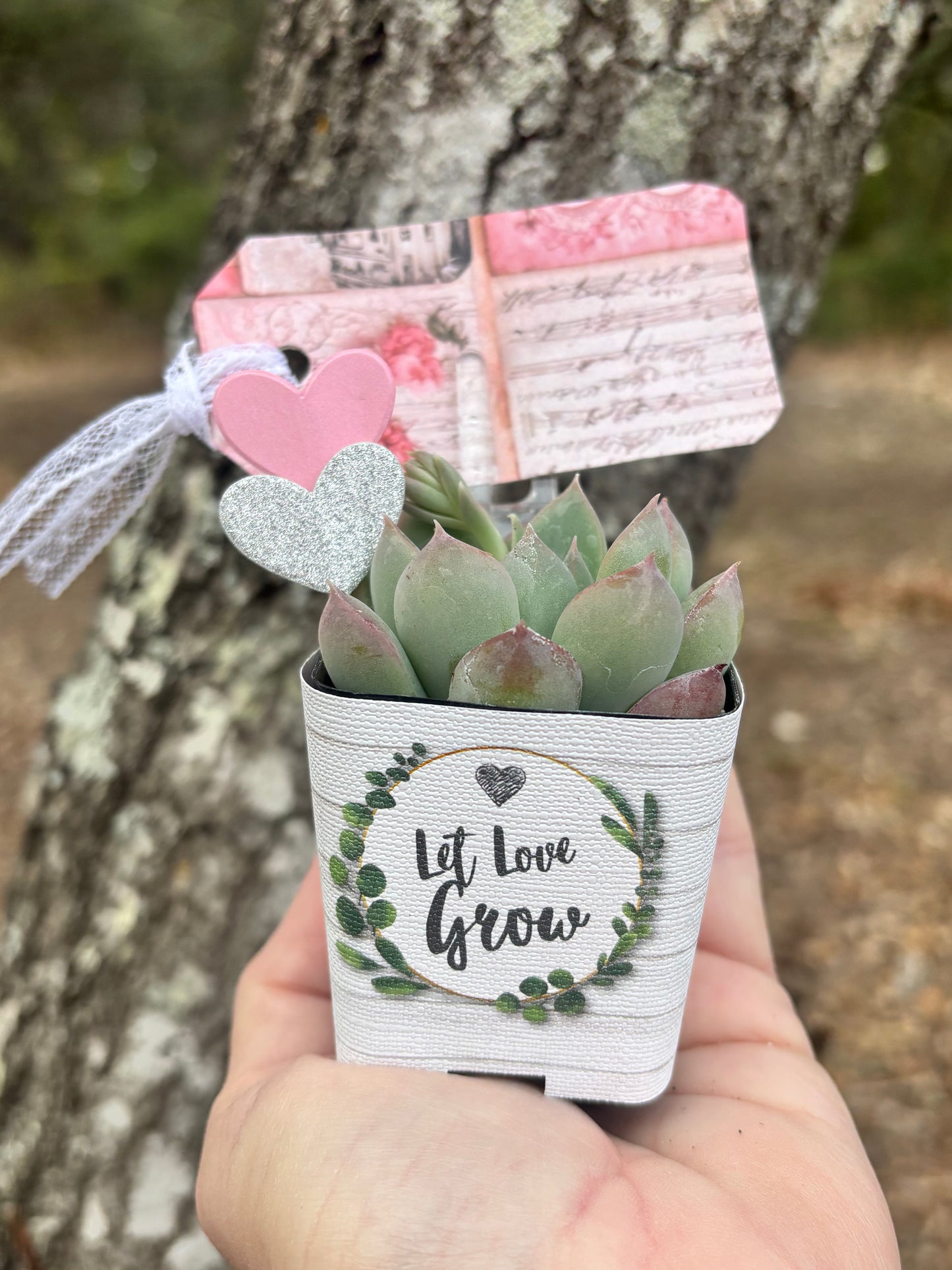 Let Love Grow Succulent