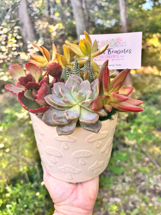 Embossed white mushroom succulent garden