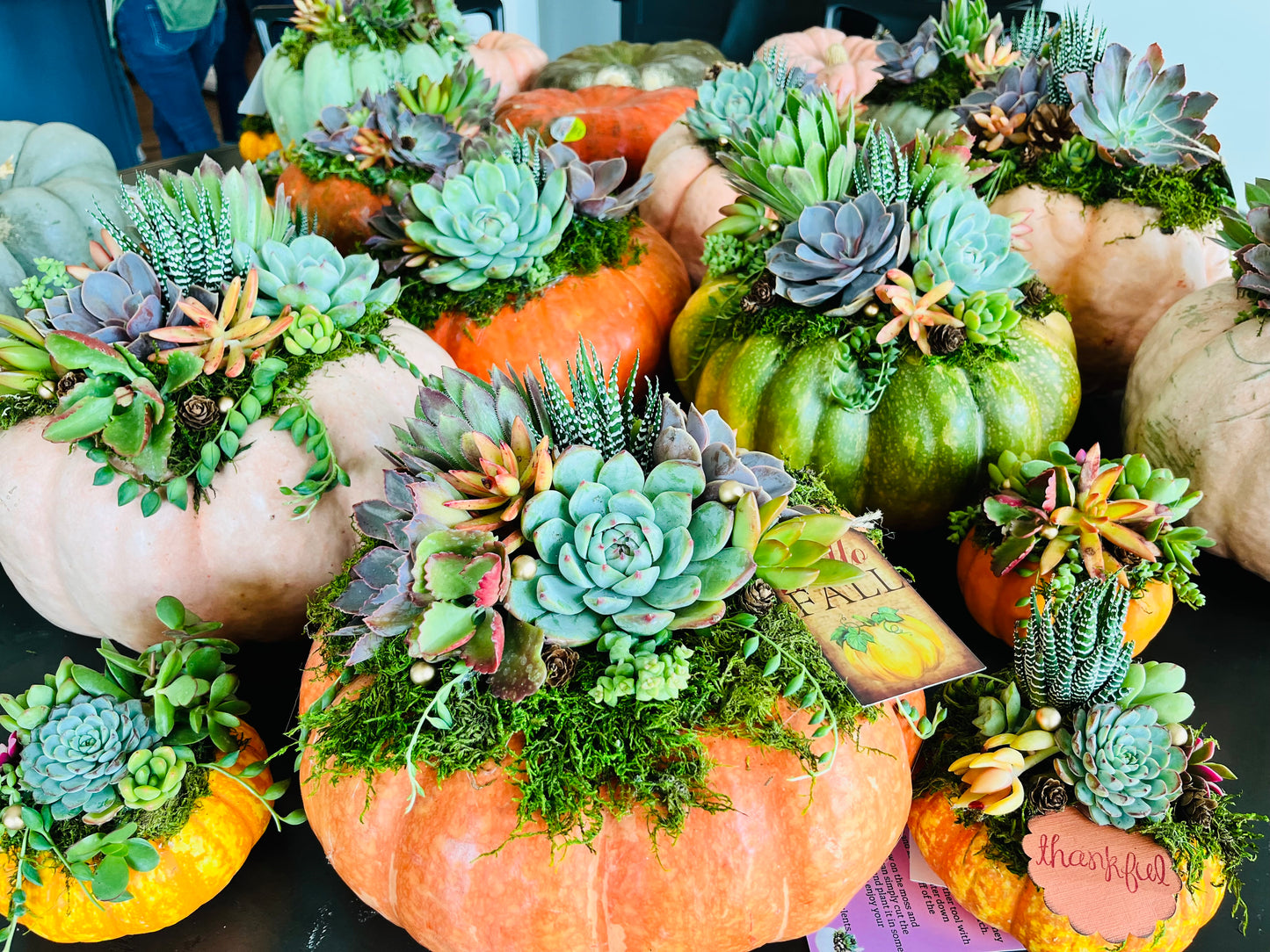 Vista Brewing | DIY Thanksgiving Centerpiece Workshop