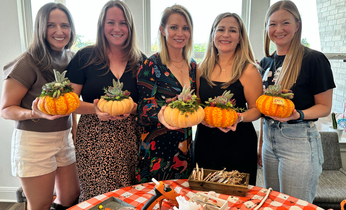 October 17th Succulent Pumpkin DIY Workshop