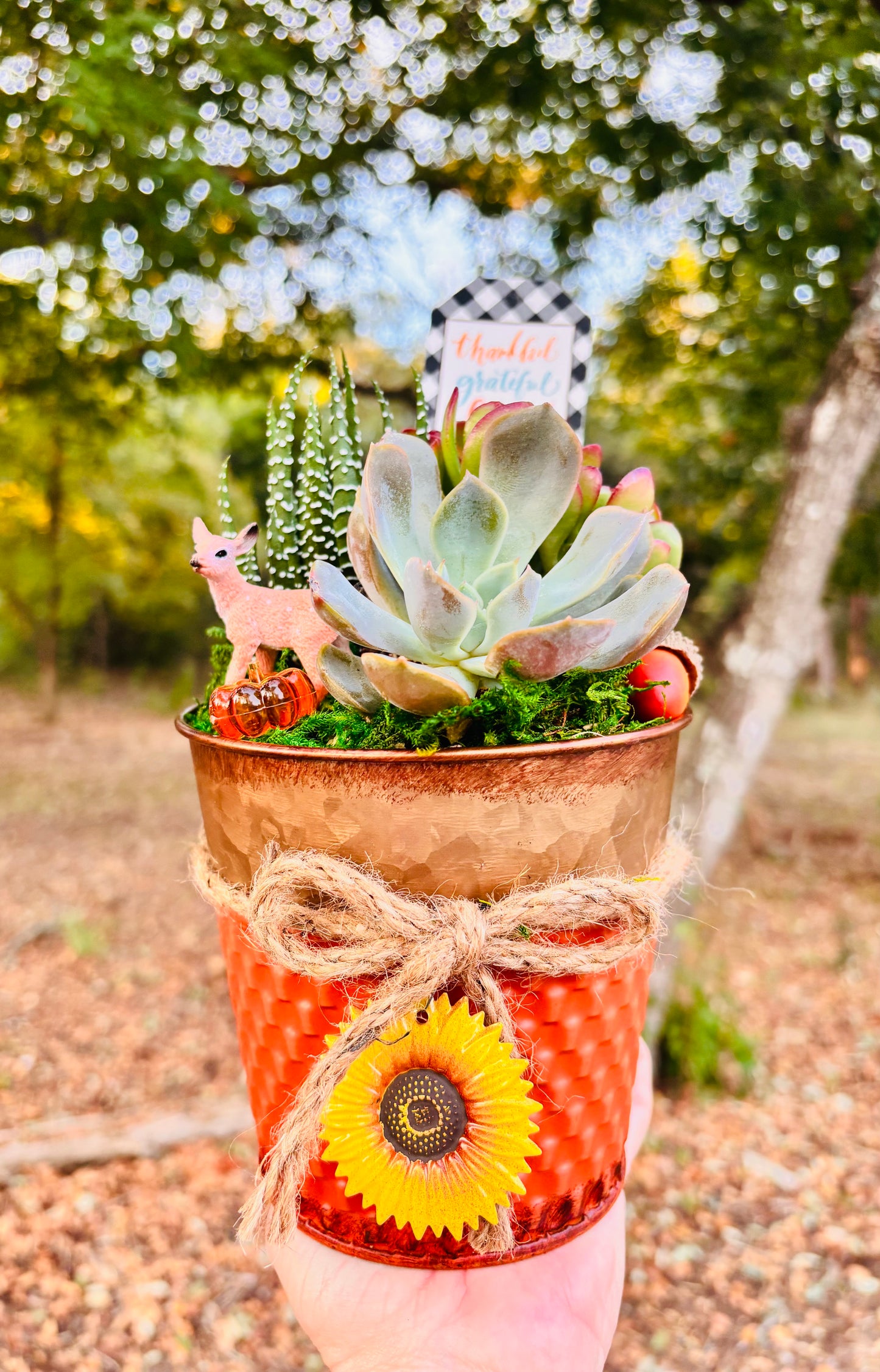 Sunflower Fall Succulent Garden Tin