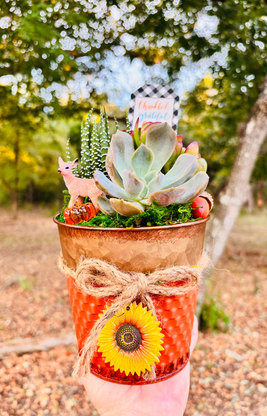 Sunflower Fall Succulent Garden Tin