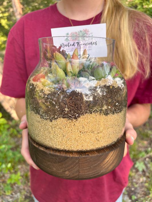 Succulent terrarium garden
