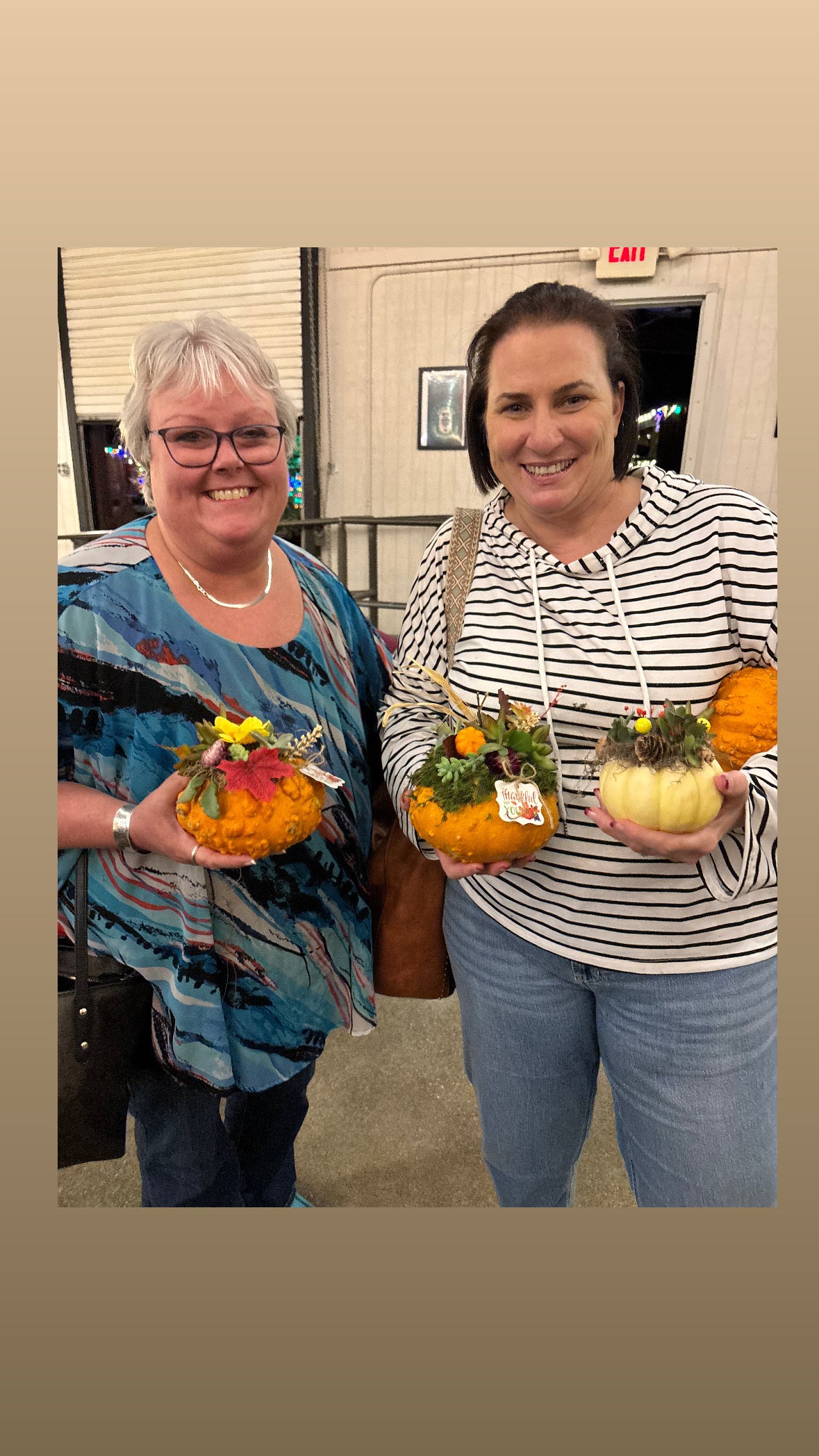 October 13th Succulent Pumpkin DIY Workshop | Pecan Street Brewing