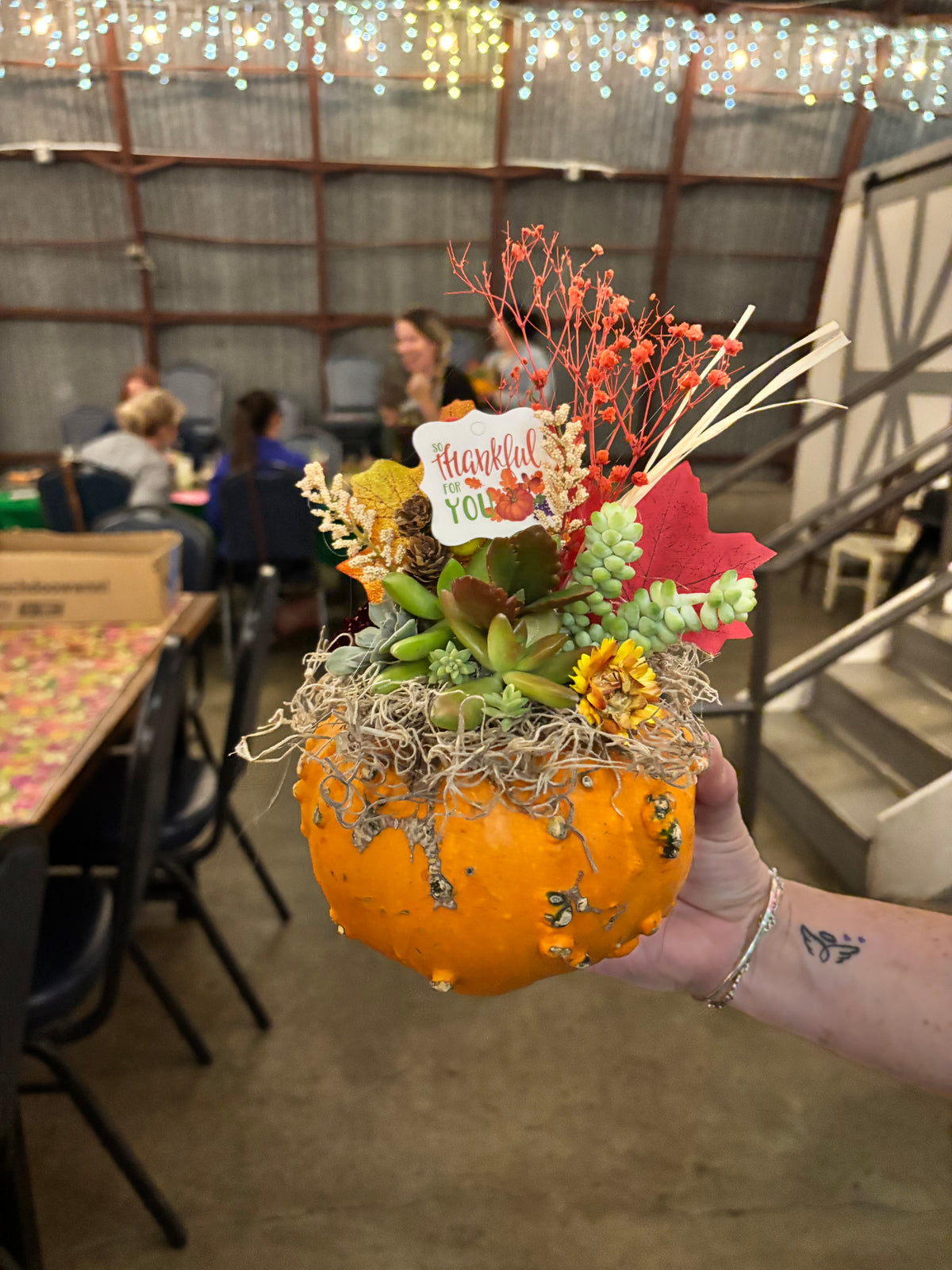 October 13th Succulent Pumpkin DIY Workshop | Pecan Street Brewing