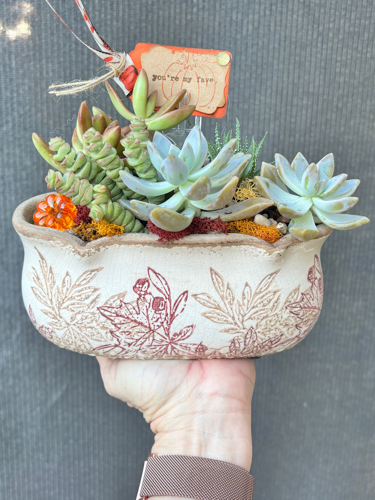 Autumn Harvest Succulent Garden