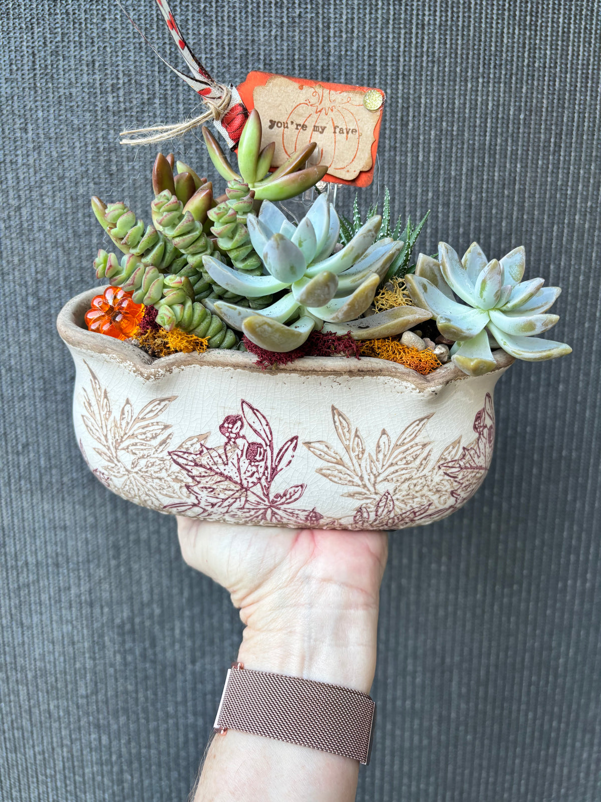 Autumn Harvest Succulent Garden