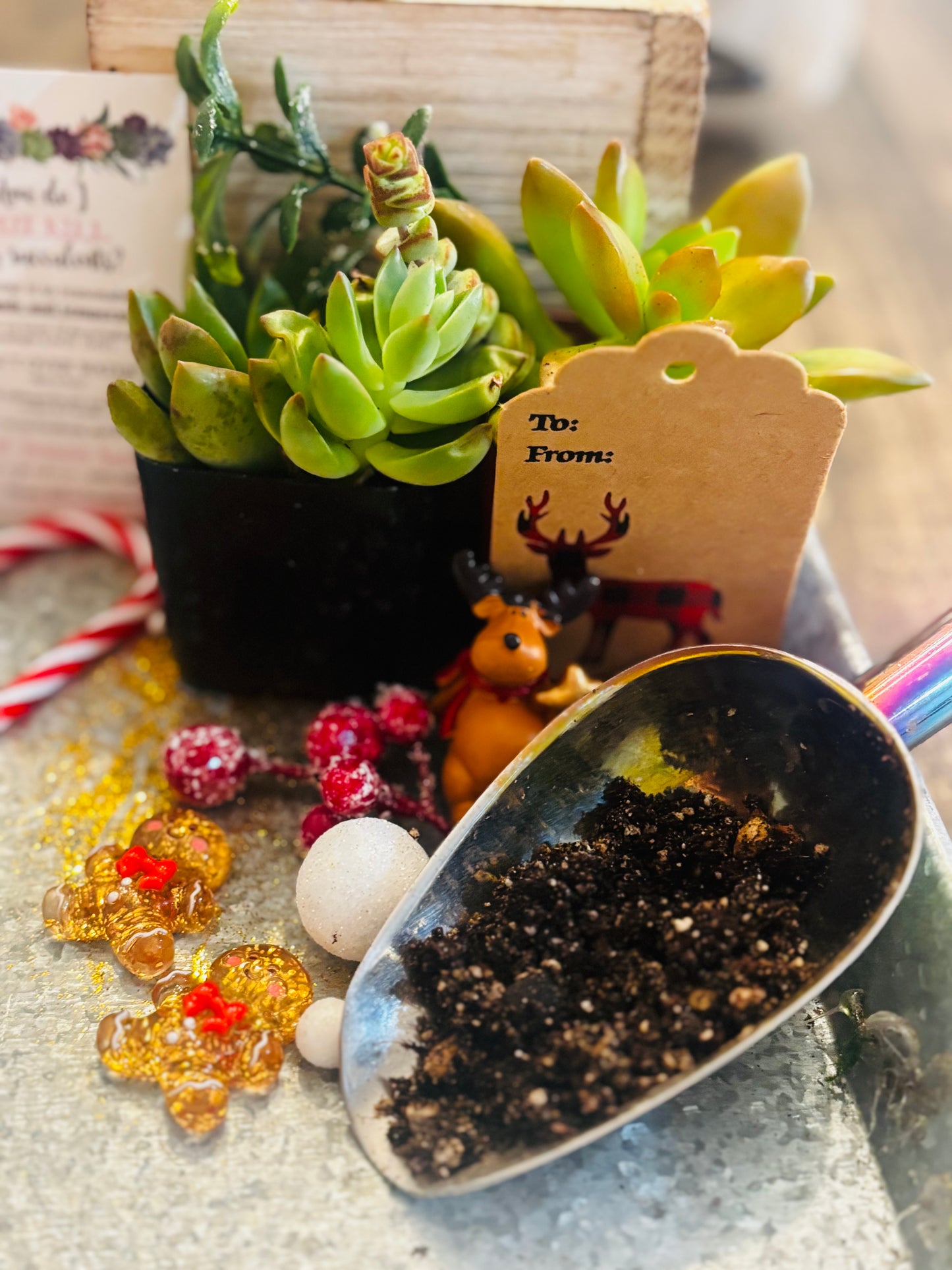 Christmas DIY Workshop | Front Yard Brewing