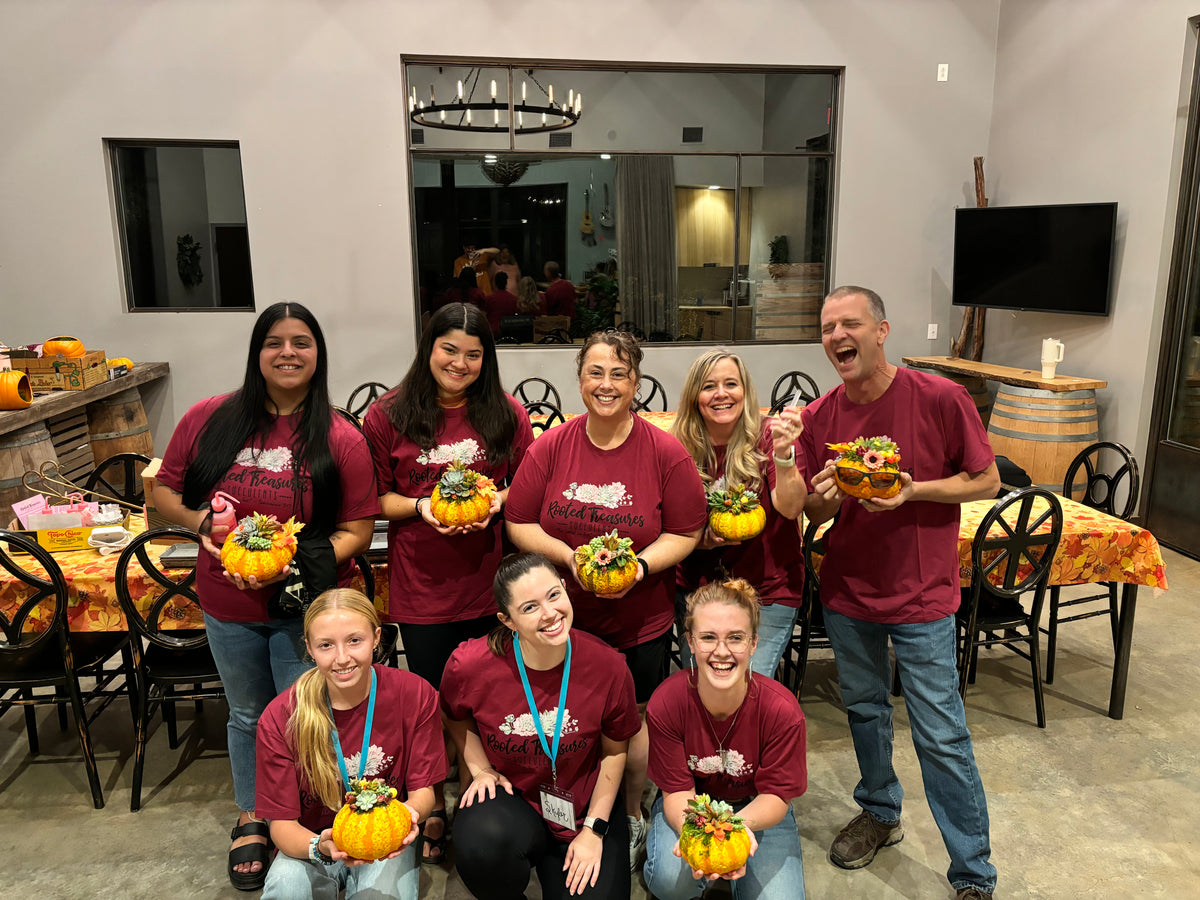 October 28th Vista Brewing DIY Succulent Pumpkin Workshop