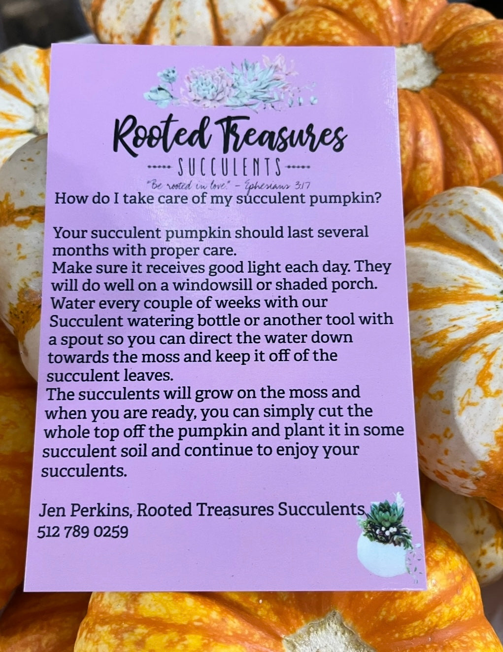 Succulent Pumpkin Workshop | Vista Brewing