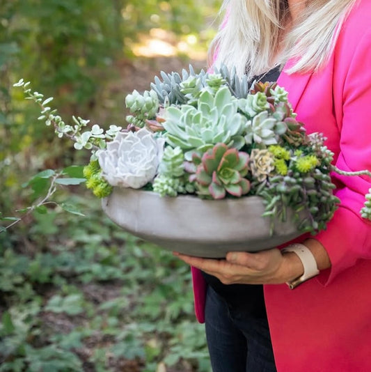 The Katelyn Grand succulent garden