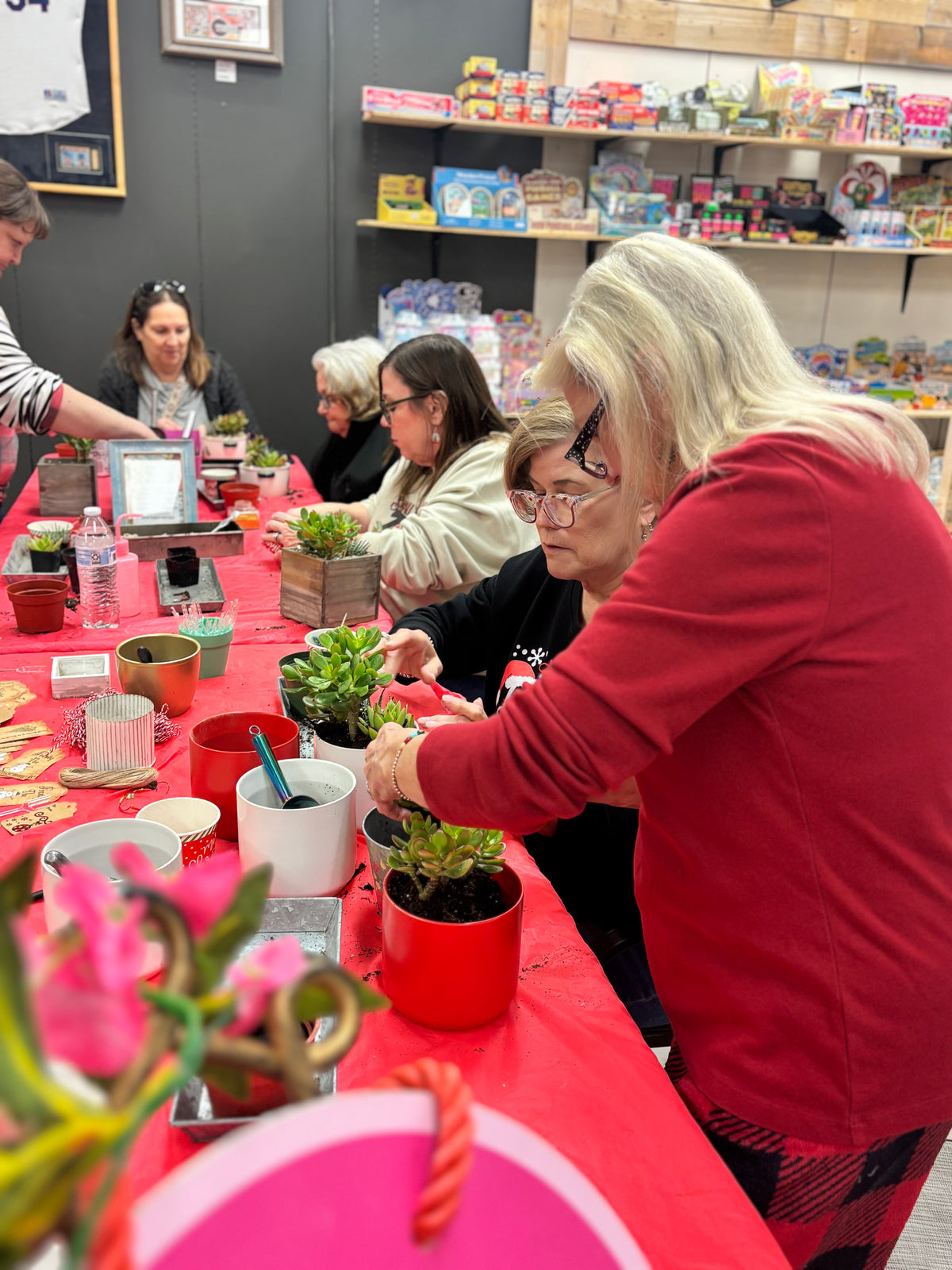 DIY  Christmas  Succulent Workshop