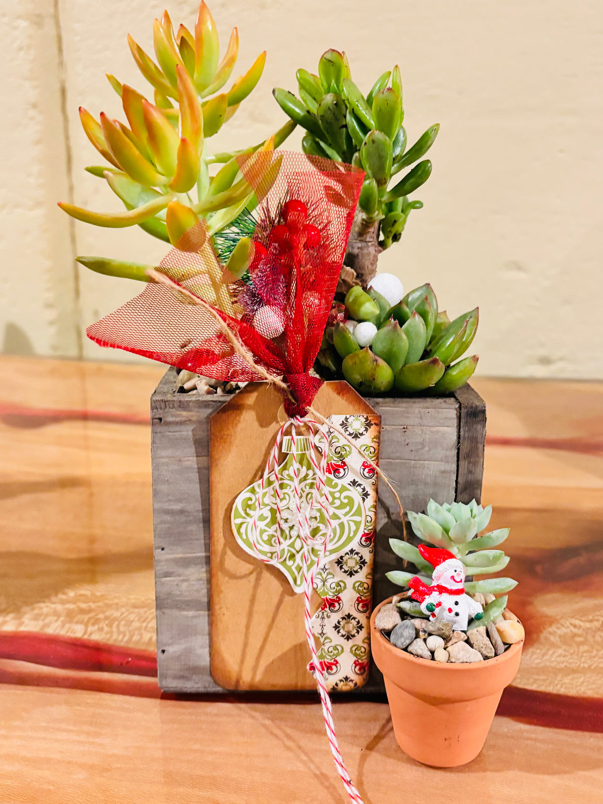 DIY  Christmas  Succulent Workshop